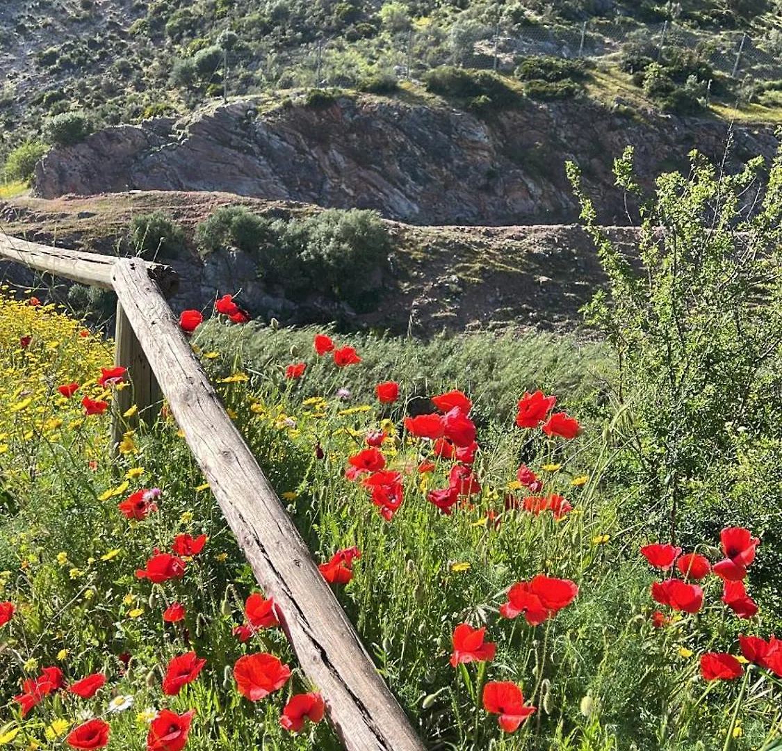 Apartmán Casa Rural Las Rosas De Benaoján